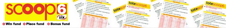 Scoop6 | Tote Scoop 6 | Scoopsix.com